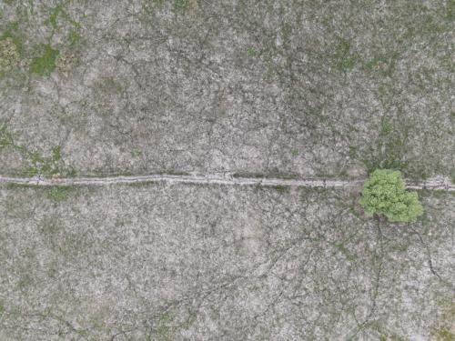 DJI_2868.JPG